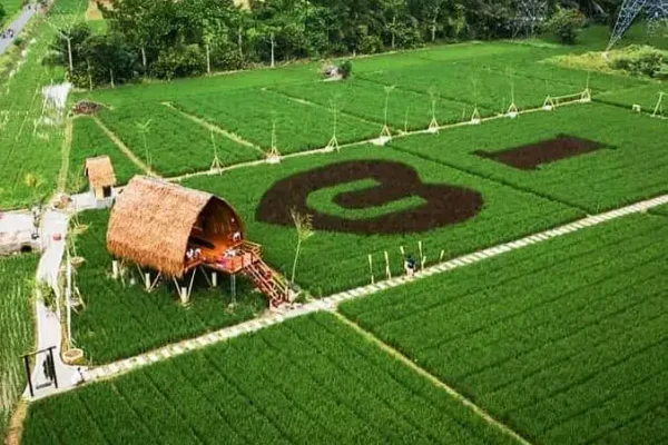 Destinasi Wisata Binjai dengan Pemandangan Luar Biasa Sawah Lukis
