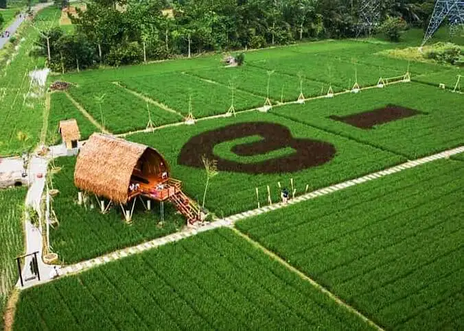 Destinasi Wisata Binjai dengan Pemandangan Luar Biasa Sawah Lukis